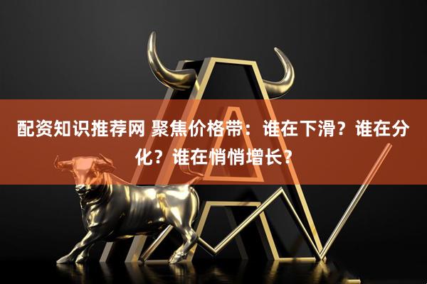 配资知识推荐网 聚焦价格带：谁在下滑？谁在分化？谁在悄悄增长？