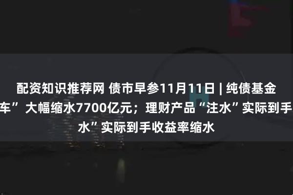 配资知识推荐网 债市早参11月11日 | 纯债基金规模遇“刹车” 大幅缩水7700亿元；理财产品“注水”实际到手收益率缩水