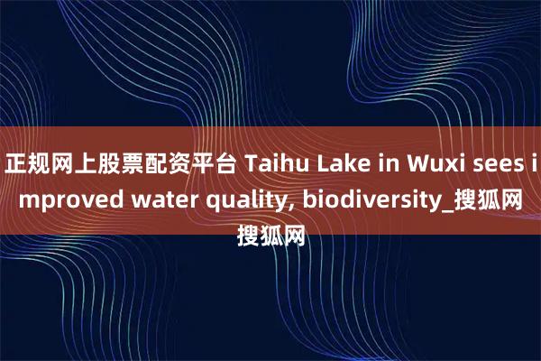 正规网上股票配资平台 Taihu Lake in Wuxi sees improved water quality, biodiversity_搜狐网